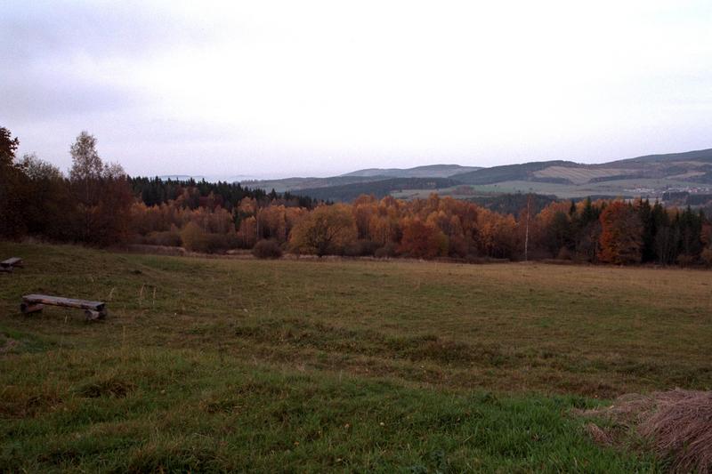 2977img0077