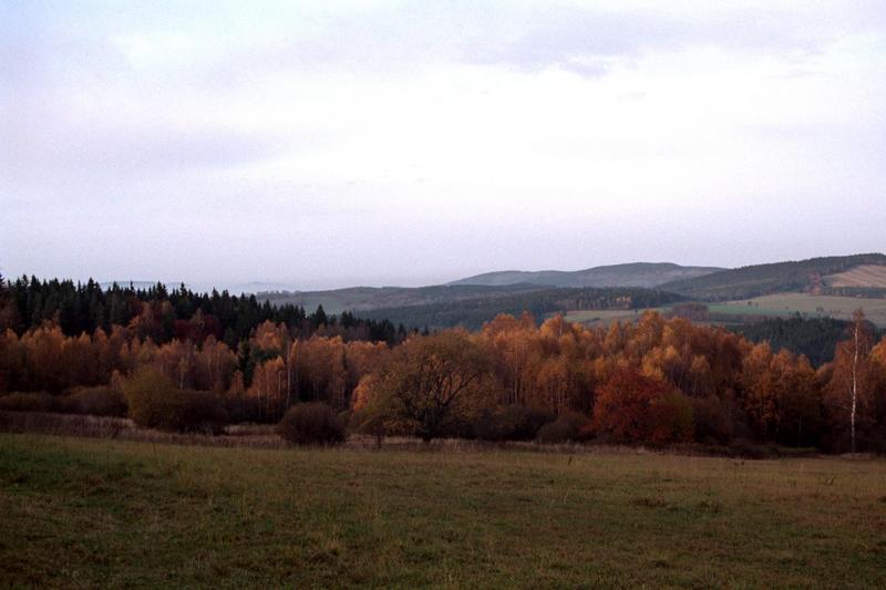 2977img0079