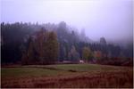 2979img0002