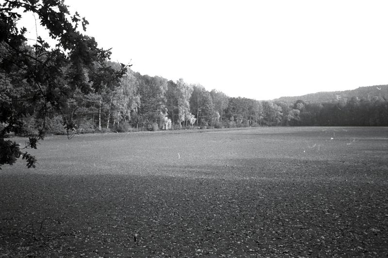4534img0027