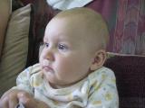 img_3526su.jpg