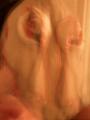 img_3598su.jpg