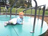 img_3627su.jpg