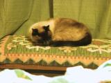 img_3997su.jpg