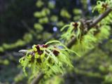 img_4523su.jpg