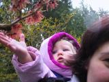 img_4533su.jpg