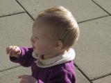 img_4547su.jpg
