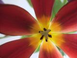 img_4678su.jpg