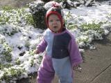 img_4742su.jpg