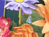 img_5742su.jpg