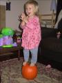 img_6424su.jpg