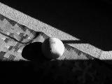 img_6730su.jpg