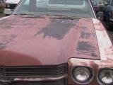 img_6817su.jpg