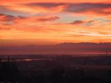 img_6867su.jpg