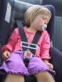 img_7092su.jpg