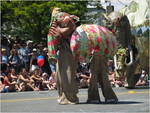 img_2359