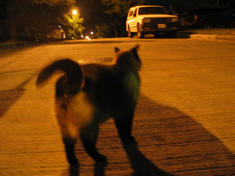 img_2472