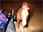 dscf0642