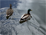 dscf0758