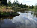 dscf0778