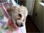 dscf0855