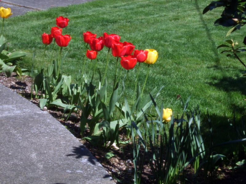 dscf0867