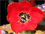 dscf0924