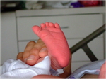dscf0991