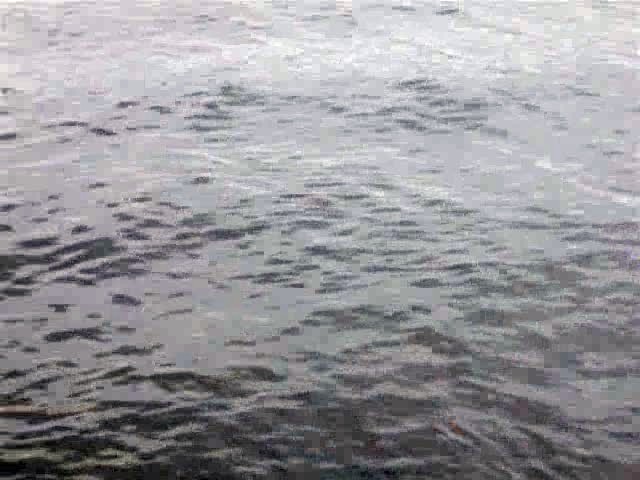 dscf1102