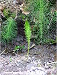 dscf1185