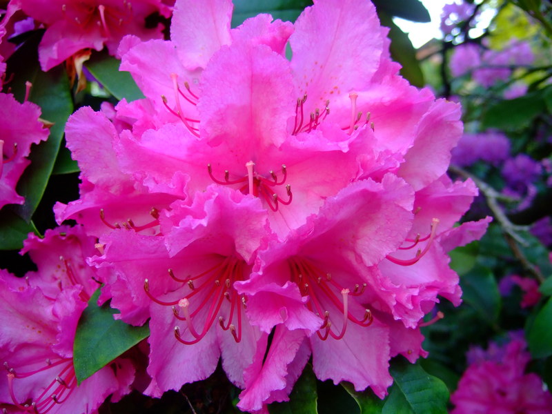 dscf1396
