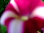 dscf1943