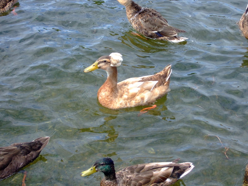 dscf2287