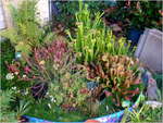 dscf2485