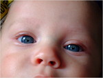 dscf2821
