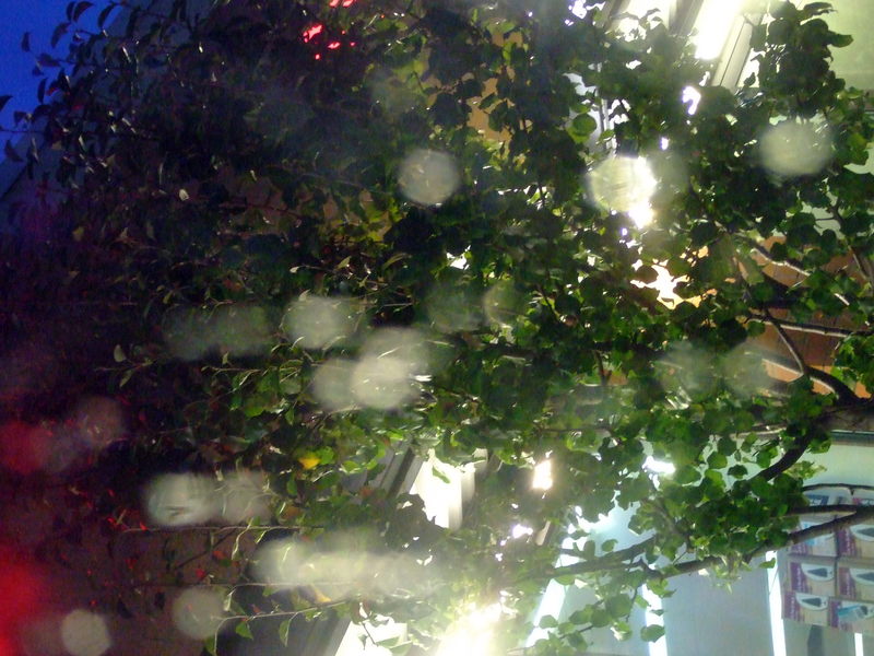 dscf2972