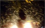 dscf3020p