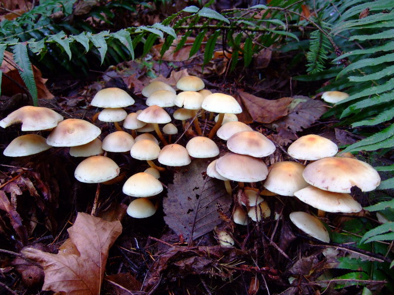 dscf3076