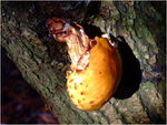 dscf3258