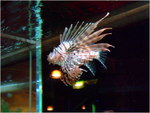 dscf3856