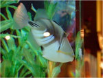 dscf3859
