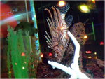 dscf3861