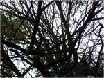 dscf3917