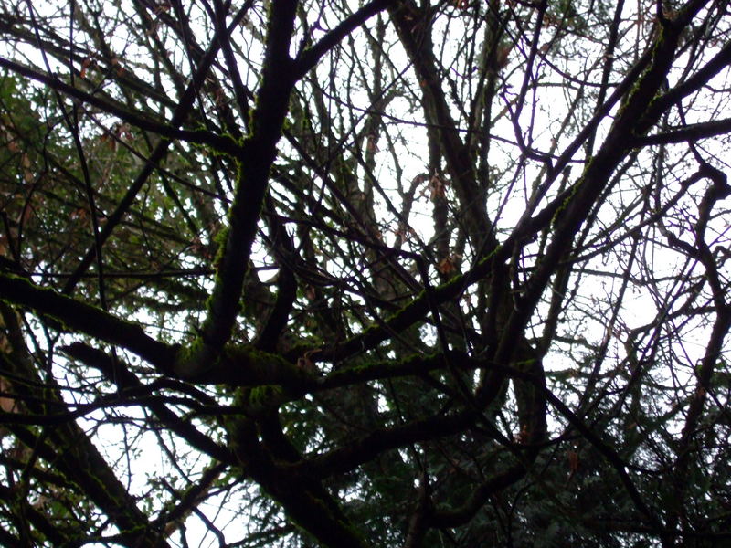 dscf3917