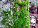 dscf3928