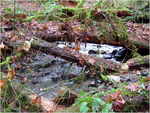 dscf4297