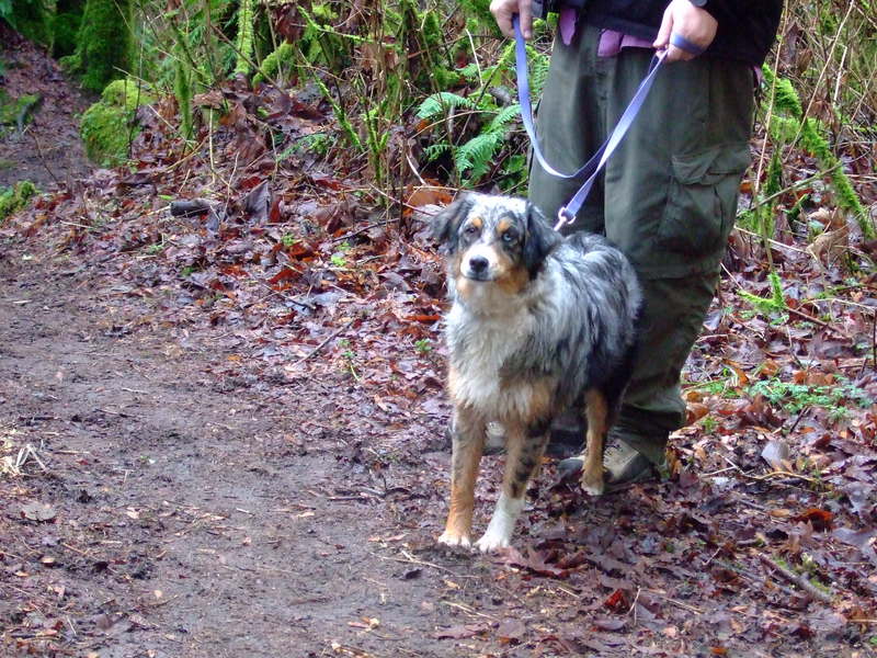 dscf4621