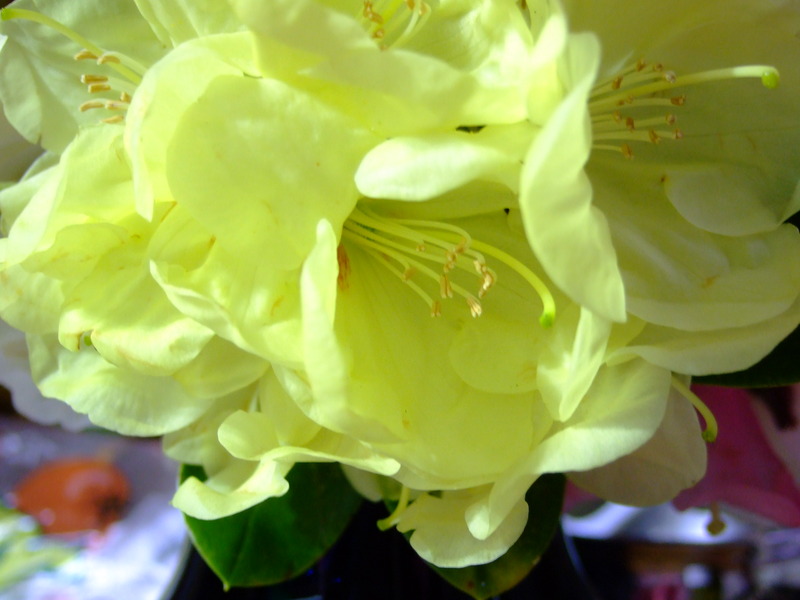 dscf5605