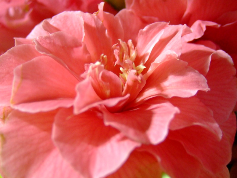 dscf5609