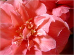 dscf5616